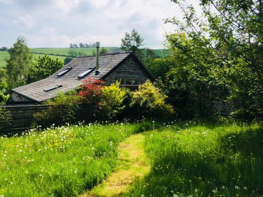 Вилла Cefn Ceiriog Лланголлен Экстерьер фото