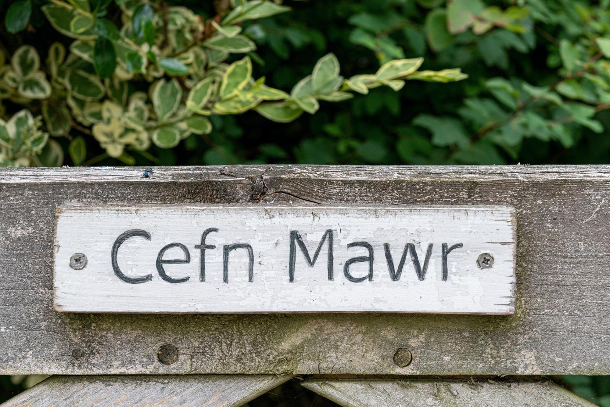Вилла Cefn Ceiriog Лланголлен Номер фото